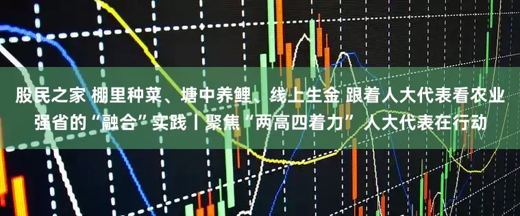股民之家 棚里种菜、塘中养鲤、线上生金 跟着人大代表看农业强省的“融合”实践丨聚焦“两高四着力” 人大代表在行动