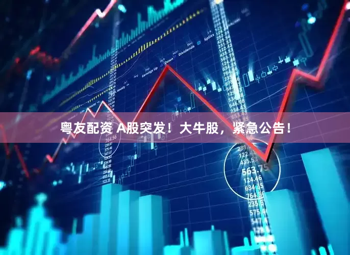 粤友配资 A股突发！大牛股，紧急公告！
